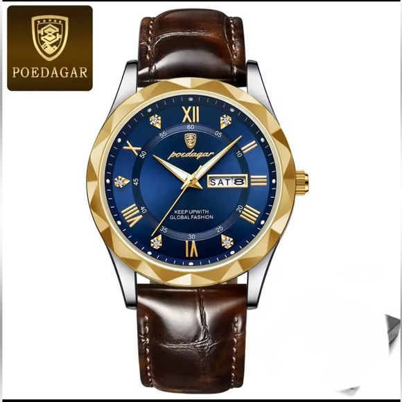 POEDAGAR Other - Blue Quartz Watch for Men Leather Band Waterproof Luminous Date Week NEW